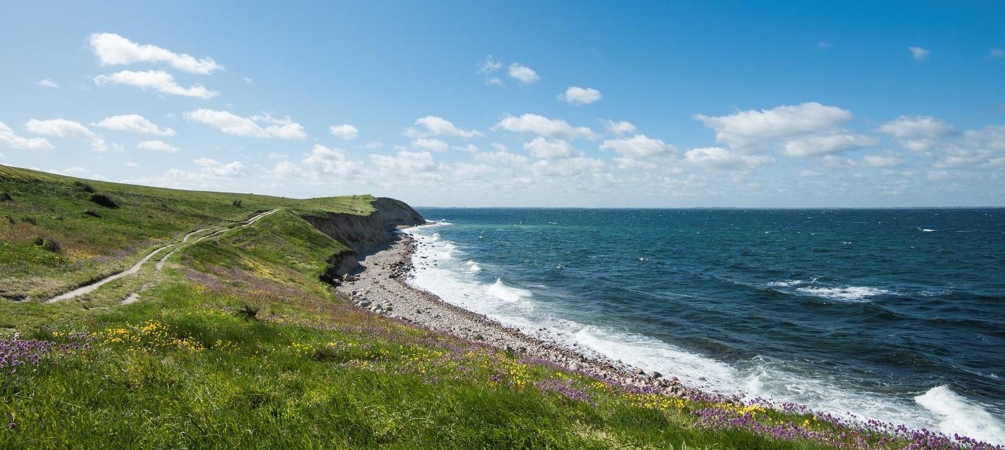 Hav og land på Fyns Hoved