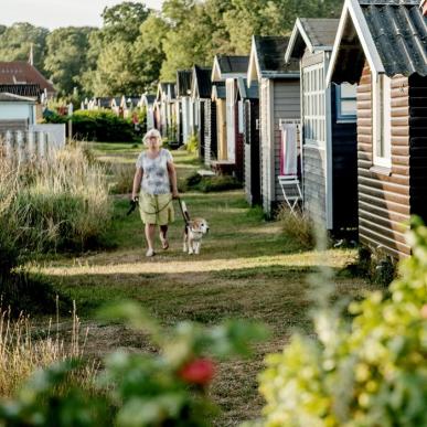 Huse ved Sydstranden, kvinde med hund