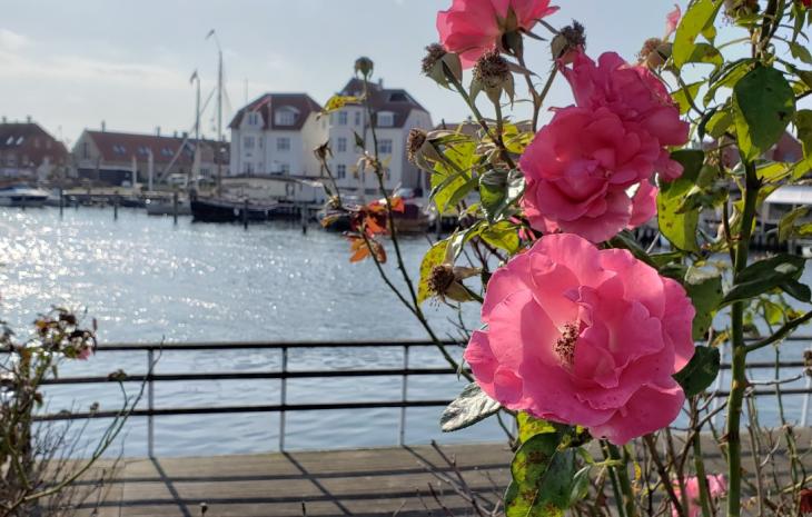 Kerteminde by